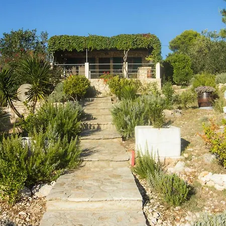 House Mirta
